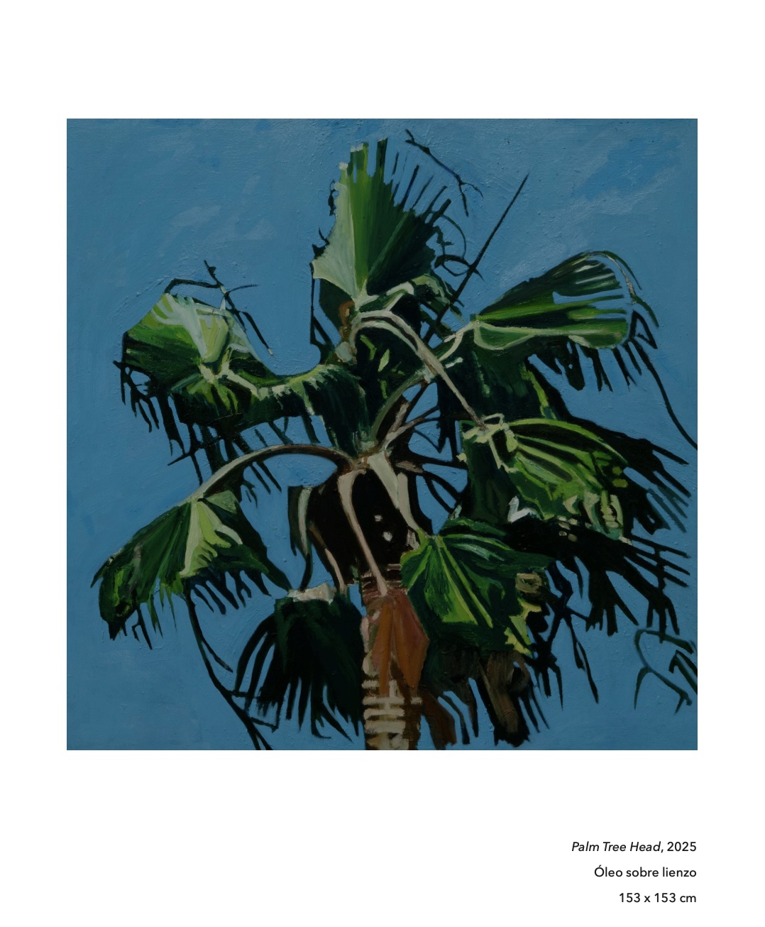 Jungle 23 